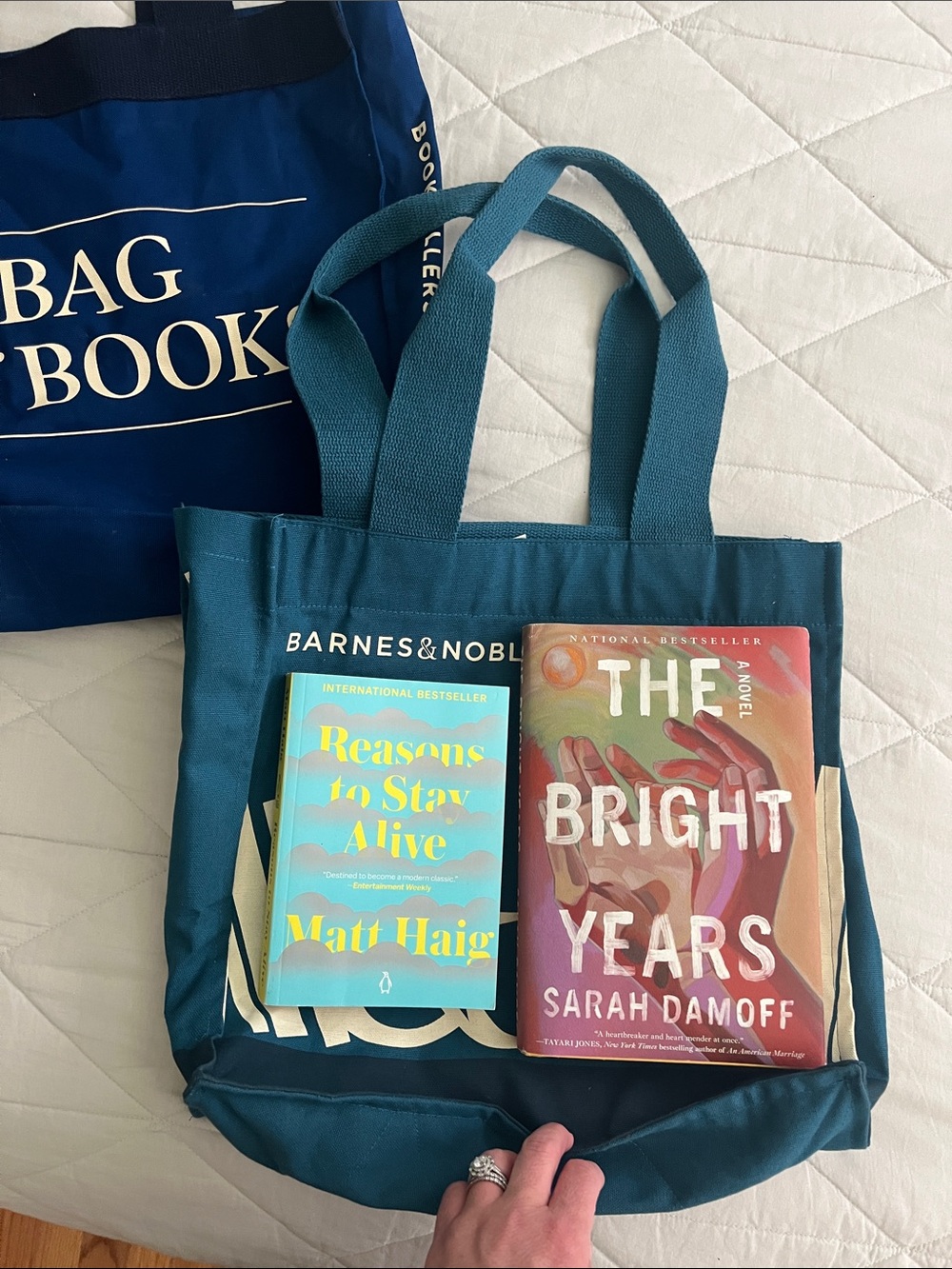 PAIR of Barnes & Noble A BAG of BOOKS Tote Bags - teal and deep royal blue - Picture 8 of 16